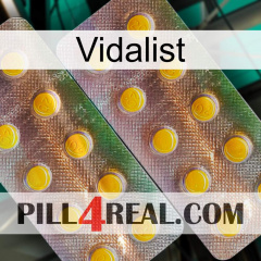 Vidalist new10